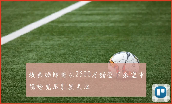 埃弗顿即将以2500万镑签下米堡中场哈克尼引发关注